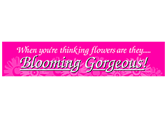 Blooming Gorgeous 